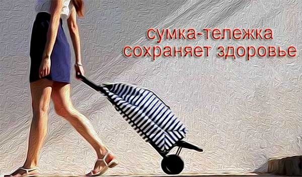 Сумка на колесах (сумка тележка)