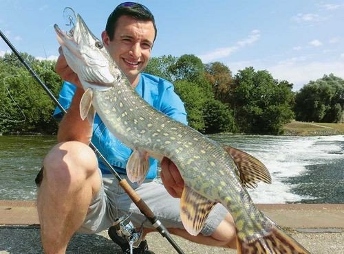 Активатор клева Fish Hungry, жидкость 120 мл